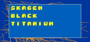 SkagenBlackTitanium