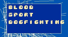 BloodSportDogfighting